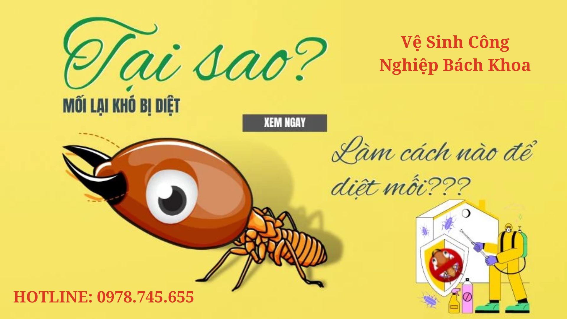 Sức ăn của đàn mối rất đáng sợ bởi chúng có thể phá hoại cả một ngôi nhà, công trình xây dựng và cả các máy móc, trang thiết bị hiện đại.