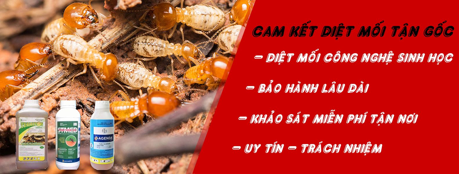 Vệ Sinh Công Nghiệp Bách Khoa cam kết mang đến cho khách hàng dịch vụ diệt mối tận gốc tốt nhất Hà Nội.